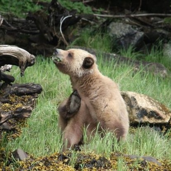 Meet your Posher, Gabby - Picture 1 of 1